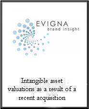 Evigna Brand Insight