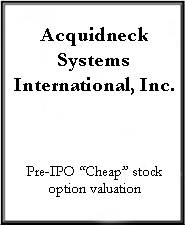 Acquidneck Systems International
